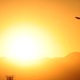 Image for article titled UN Countries Adopt 'Aspirational’ Net-Zero Goal for Aviation